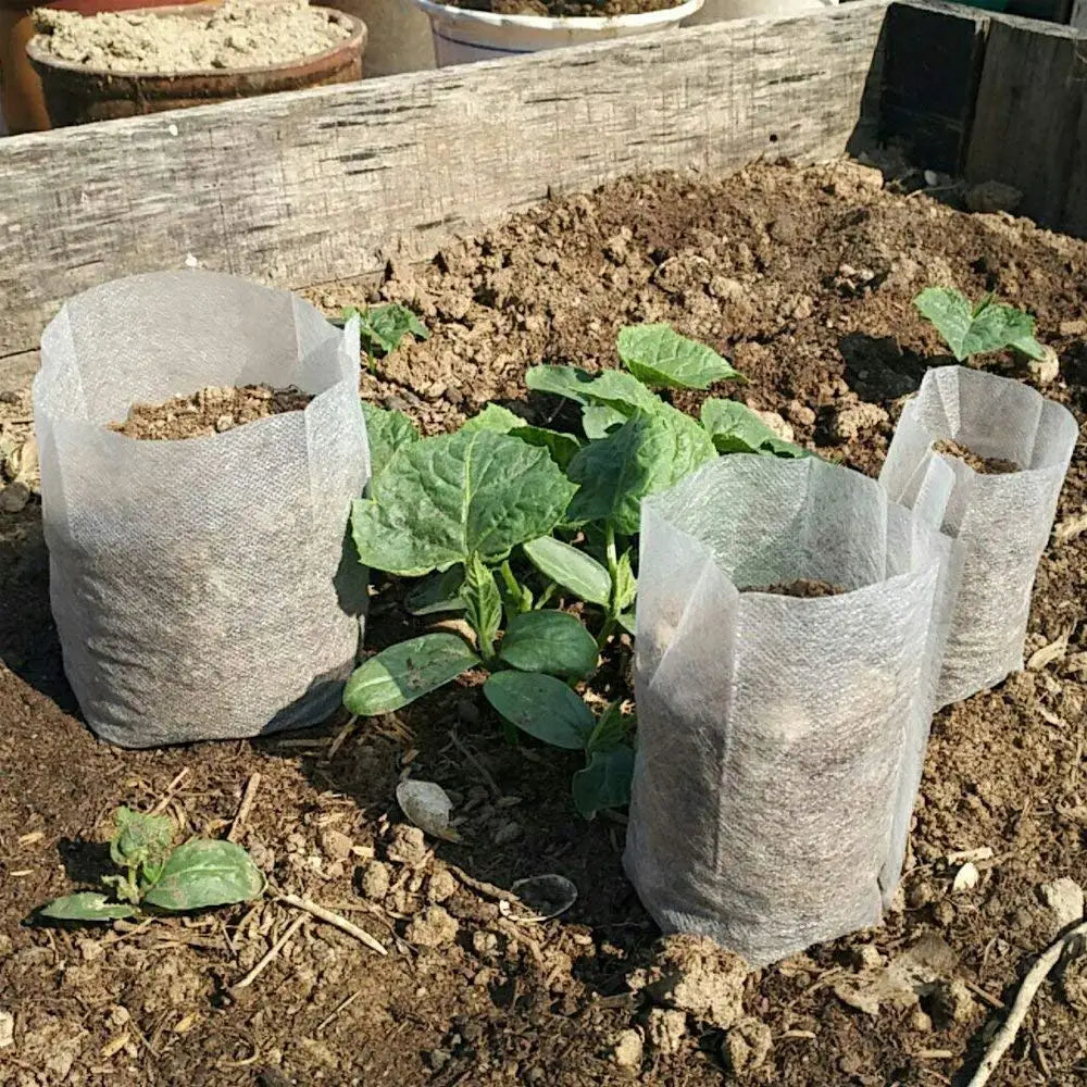 100pcs Biodegradable Seedling Bags – Eco-Friendly Non-Woven Nursery Pots for Healthy Plant Growth