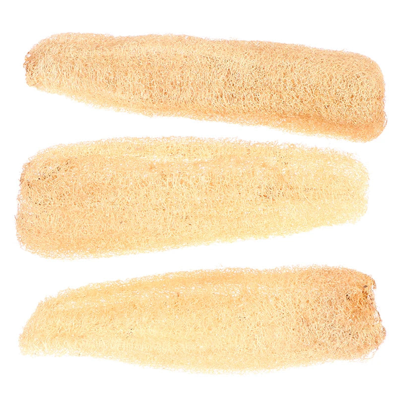 Natural Whole Loofah Sponge | Eco-Friendly Exfoliating Scrubber for Kitchen & Bathroom