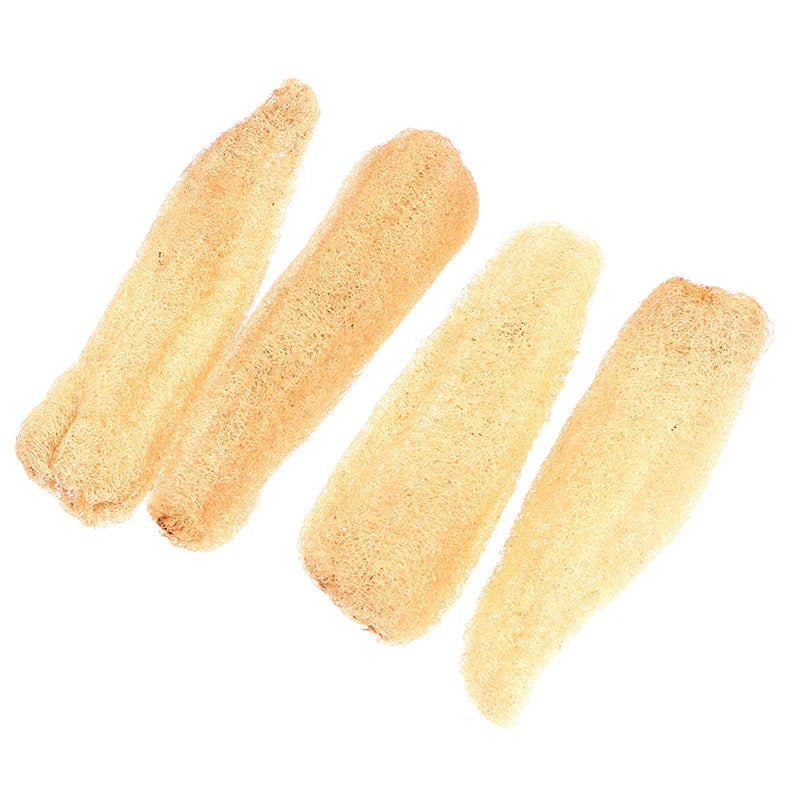 Natural Whole Loofah Sponge | Eco-Friendly Exfoliating Scrubber for Kitchen & Bathroom