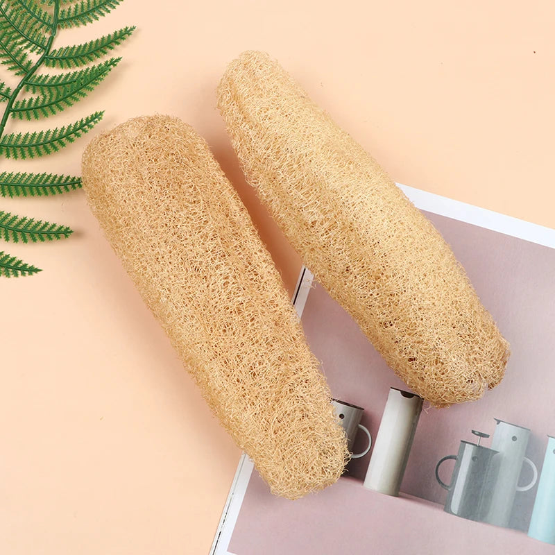 Natural Whole Loofah Sponge | Eco-Friendly Exfoliating Scrubber for Kitchen & Bathroom