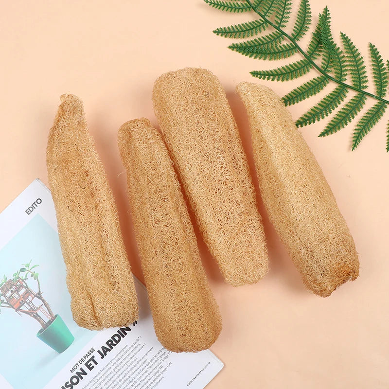 Natural Whole Loofah Sponge | Eco-Friendly Exfoliating Scrubber for Kitchen & Bathroom