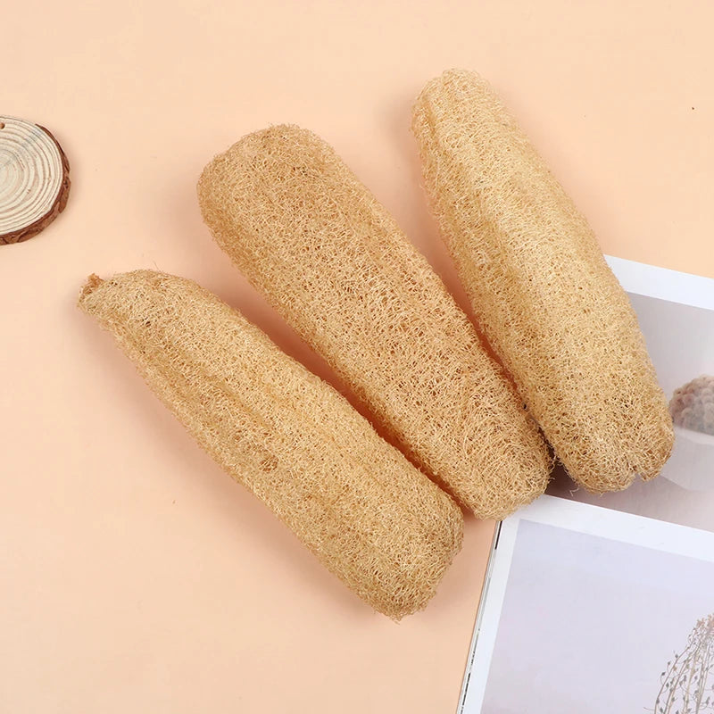 Natural Whole Loofah Sponge | Eco-Friendly Exfoliating Scrubber for Kitchen & Bathroom