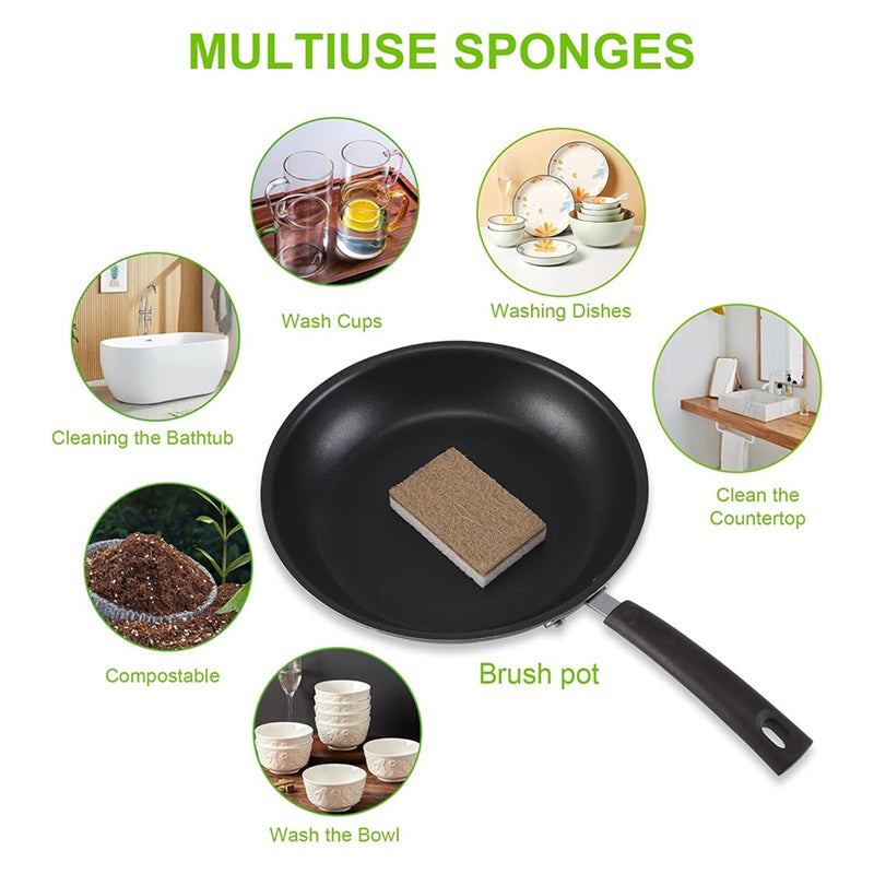 12-Pack Biodegradable Natural Kitchen Sponges – Eco-Friendly Cellulose & Coconut Fiber Scrubbers