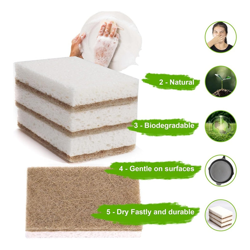 12-Pack Biodegradable Natural Kitchen Sponges – Eco-Friendly Cellulose & Coconut Fiber Scrubbers