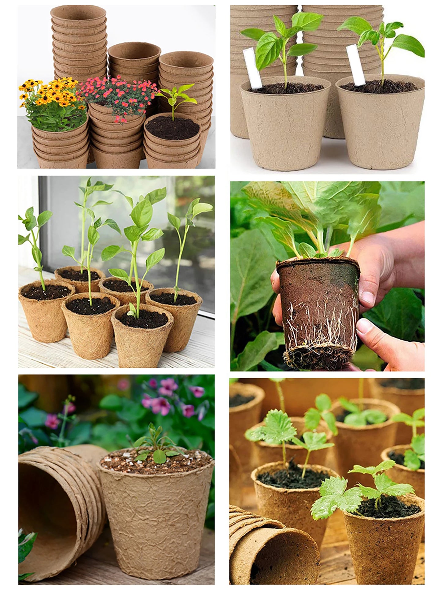 Biodegradable Fibre Nursery Pots – Eco-Friendly Seedling Starter