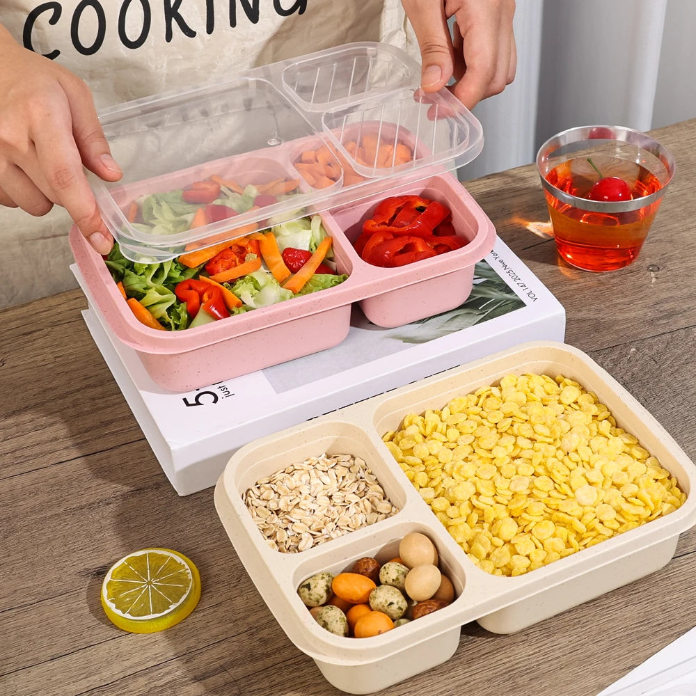 Eco-Friendly Portable Bento Lunch Box | Food Storage Container with Lid | School, Office, & Picnic Lunch Containers