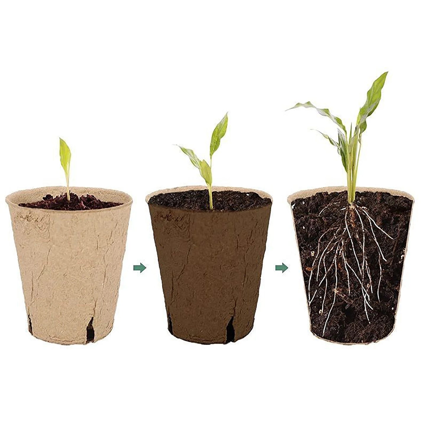 Biodegradable Fibre Nursery Pots – Eco-Friendly Seedling Starter