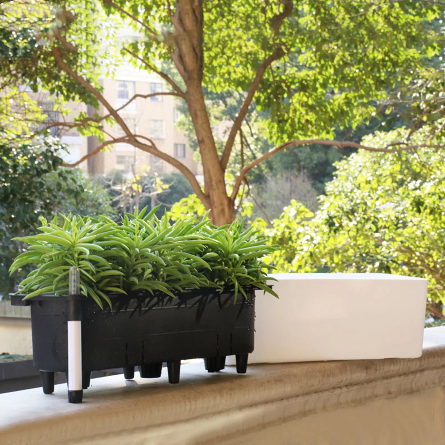 Minimalist Double-Layer Planter Box – Self-Watering Rectangular Flower & Herb Pot for Balcony & Indoor Plants