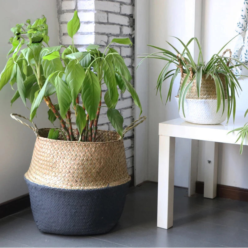 Eco-Friendly Seagrass Storage Basket – Handwoven, Foldable & Multi-Purpose