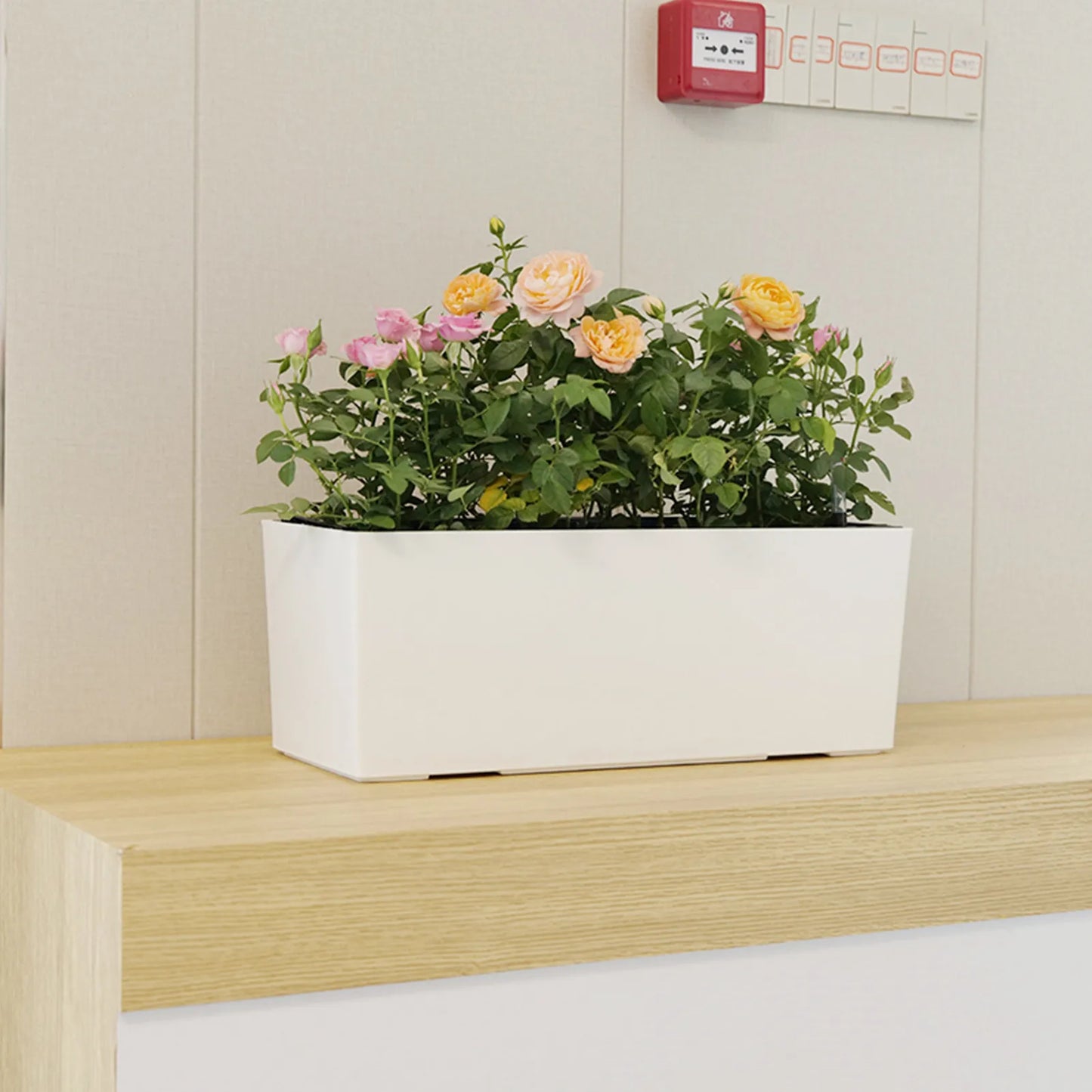 Minimalist Double-Layer Planter Box – Self-Watering Rectangular Flower & Herb Pot for Balcony & Indoor Plants