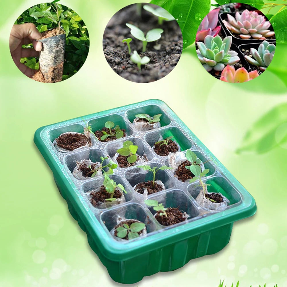 Multifunctional 12-Cell Seedling Box – Breathable, Biodegradable & Easy to Use