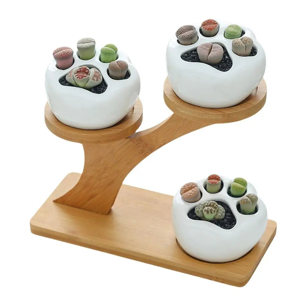 3-Tier Succulent Plant Stand – Space-Saving Ceramic Pots for Home & Office Decor