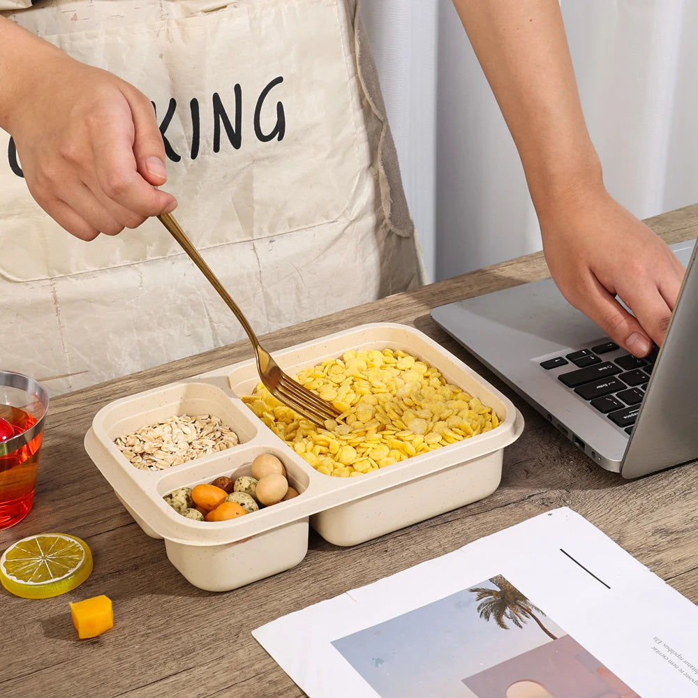 Eco-Friendly Portable Bento Lunch Box | Food Storage Container with Lid | School, Office, & Picnic Lunch Containers