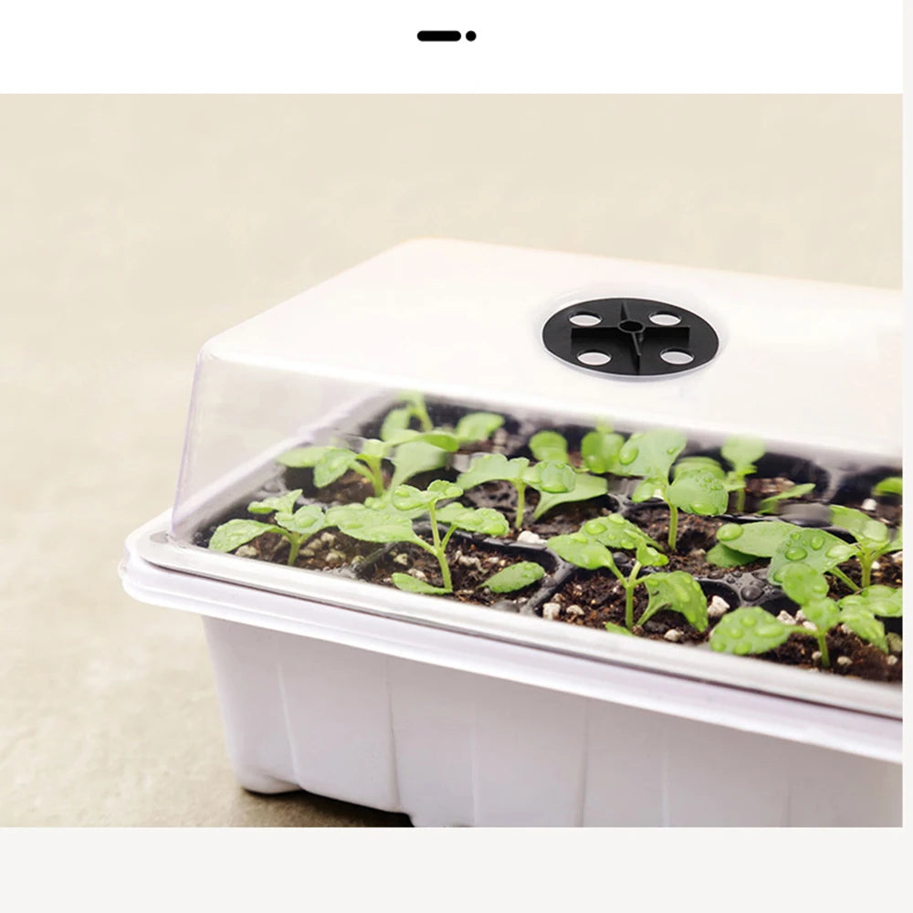 Multifunctional 12-Cell Seedling Box – Breathable, Biodegradable & Easy to Use