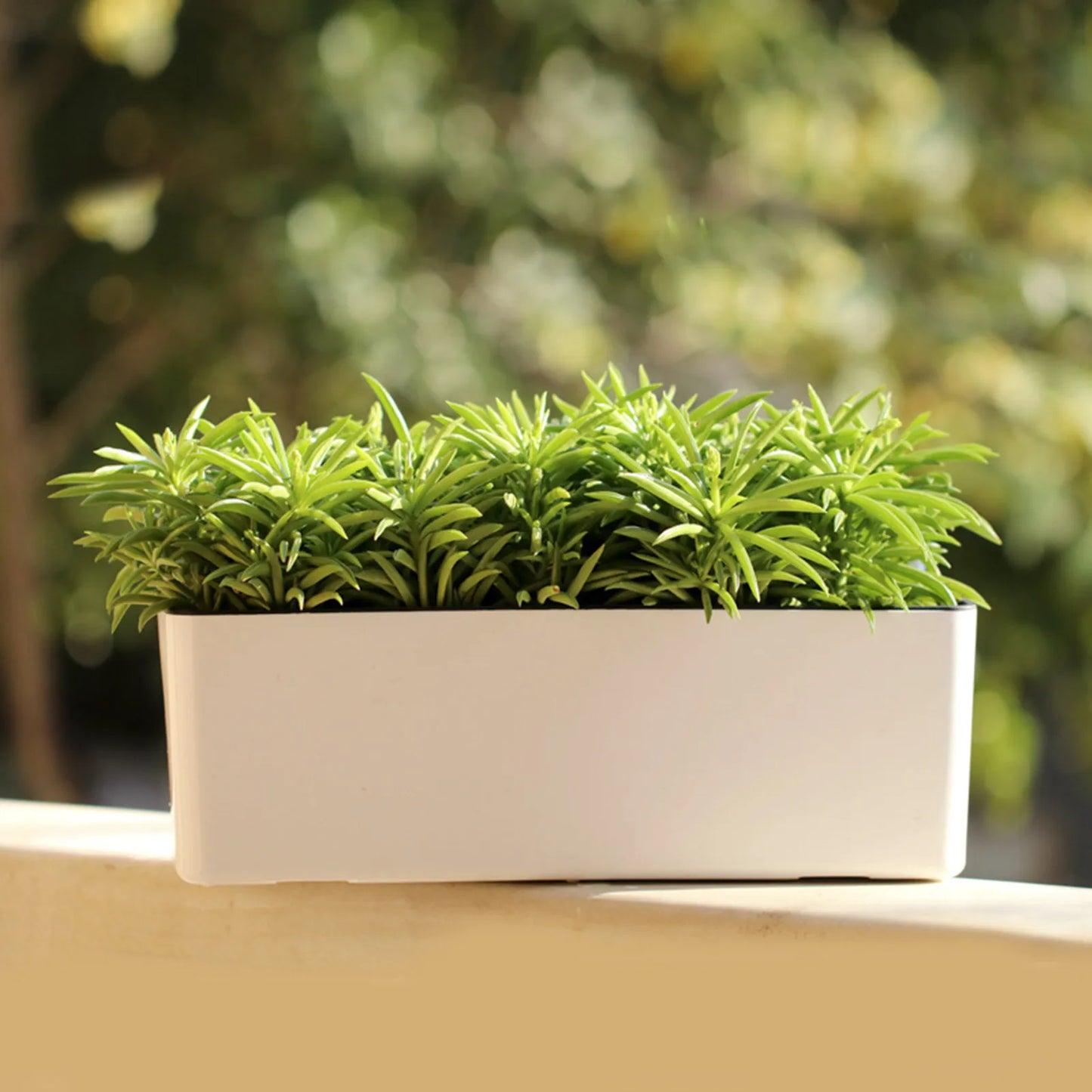 Minimalist Double-Layer Planter Box – Self-Watering Rectangular Flower & Herb Pot for Balcony & Indoor Plants