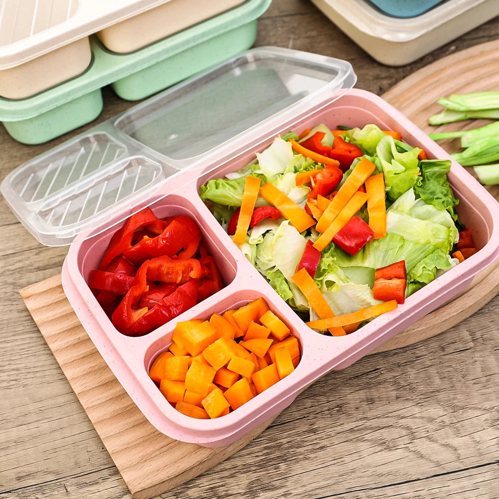 Eco-Friendly Portable Bento Lunch Box | Food Storage Container with Lid | School, Office, & Picnic Lunch Containers