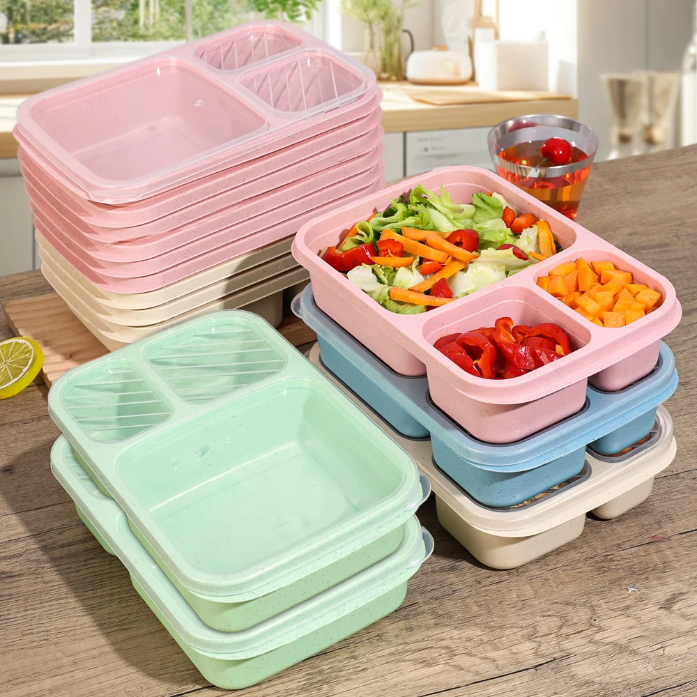 Eco-Friendly Portable Bento Lunch Box | Food Storage Container with Lid | School, Office, & Picnic Lunch Containers