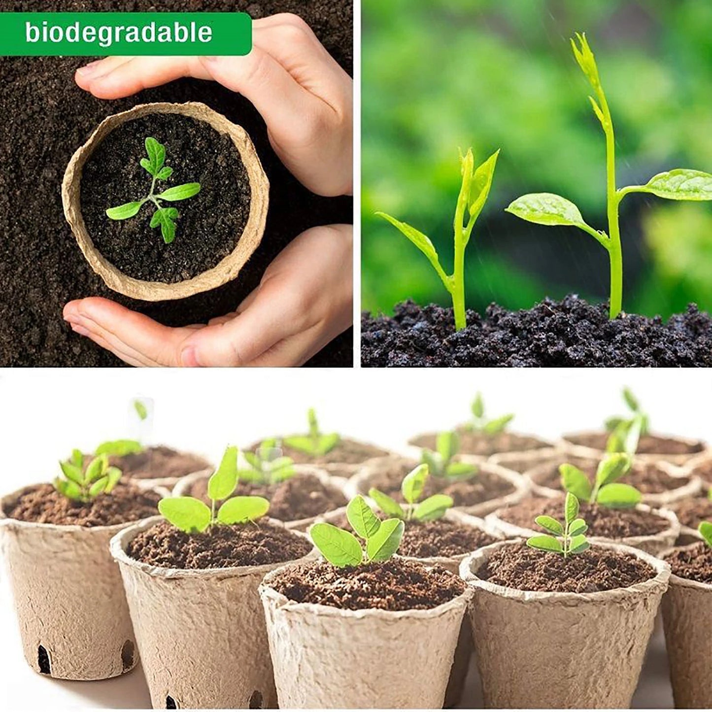 Biodegradable Fibre Nursery Pots – Eco-Friendly Seedling Starter