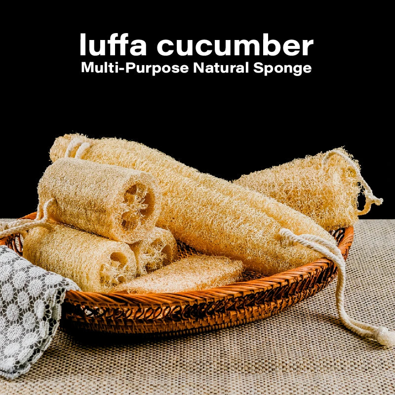 Natural Loofah Sponge Set | Eco-Friendly Exfoliating Body Scrubber & Multi-Purpose Cleaner