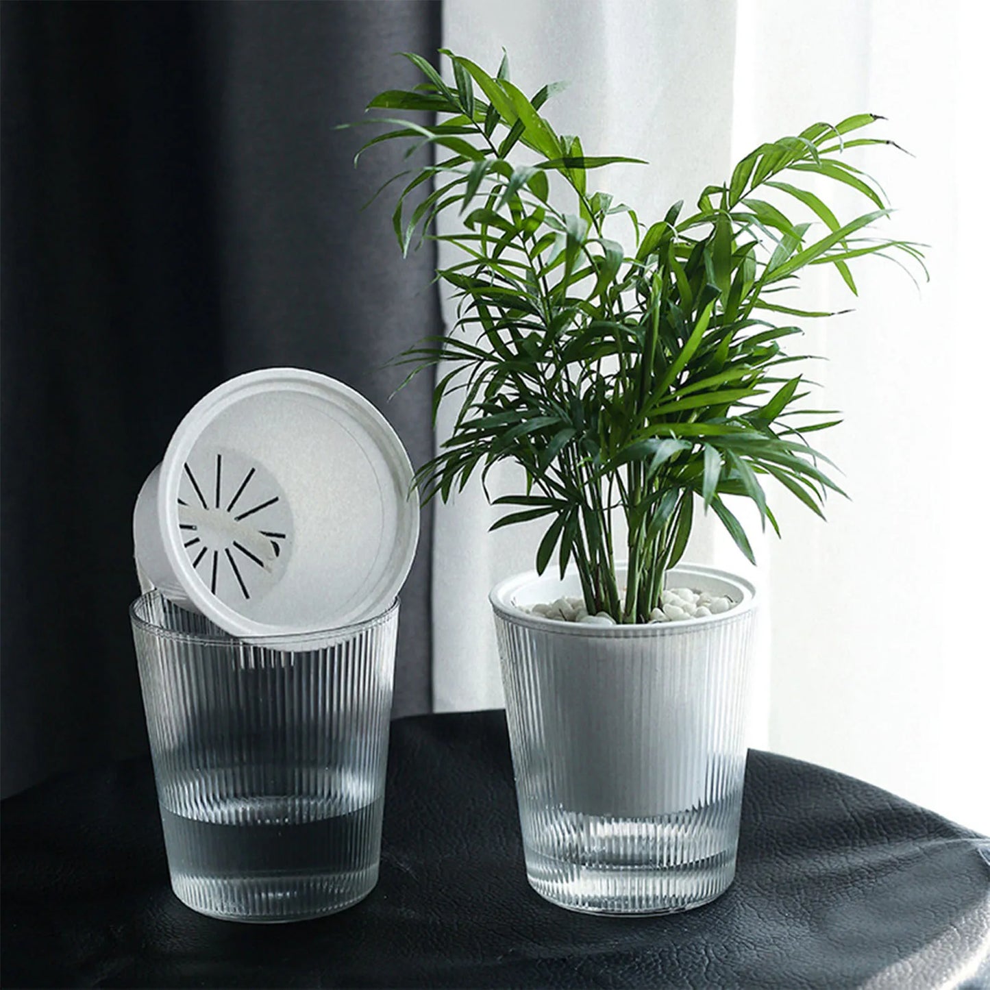 Transparent Self-Watering Planter – Modern Desktop Nursery Pot for Indoor & Outdoor Plants