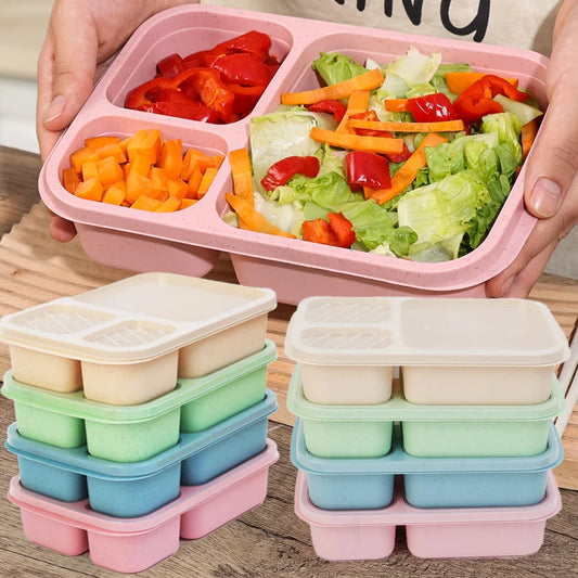 Eco-Friendly Portable Bento Lunch Box | Food Storage Container with Lid | School, Office, & Picnic Lunch Containers