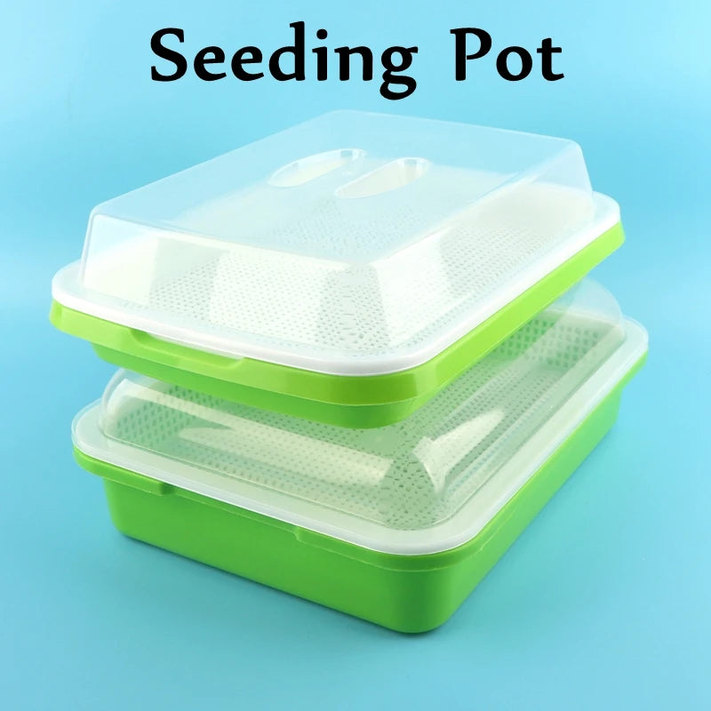 Hydroponic Sprout Dish Growing Pot – Vegetable Germination Tray with Lid | Nursery Seeding Kit