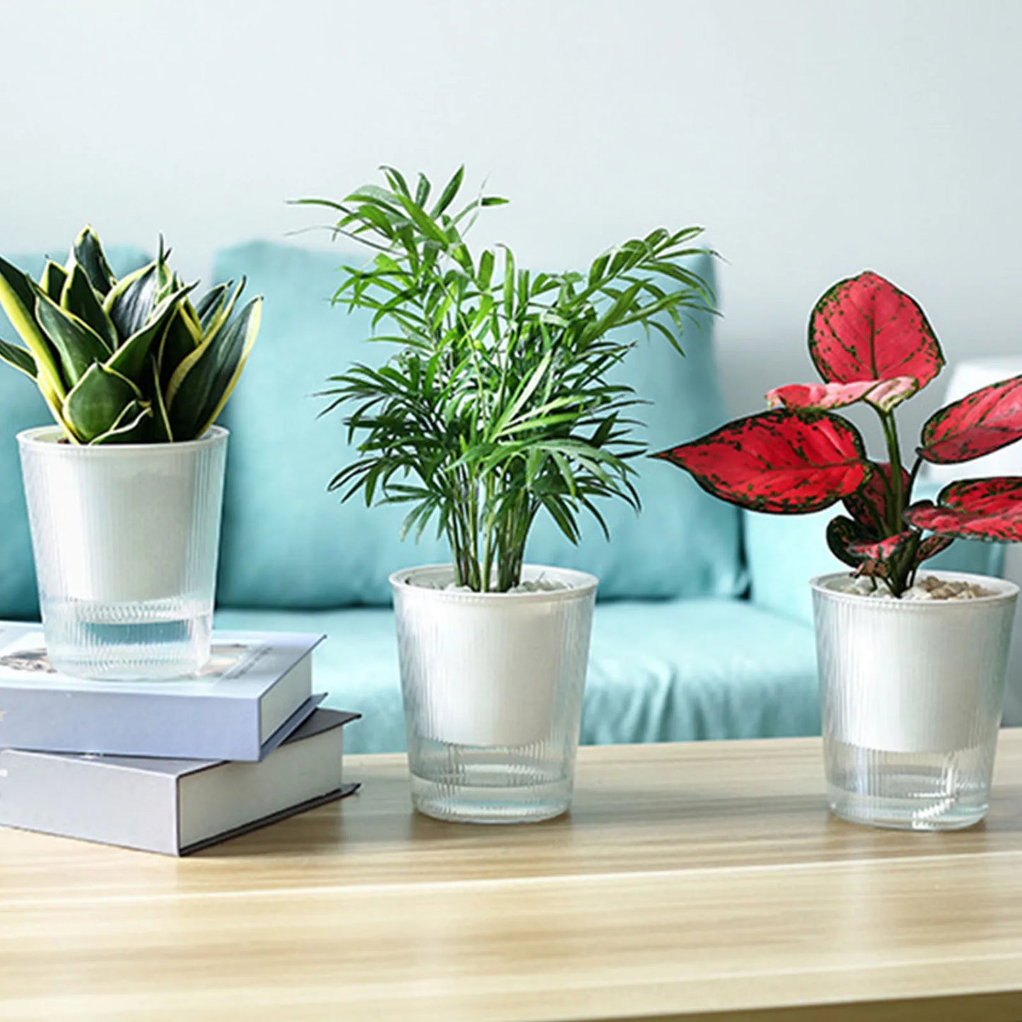 Transparent Self-Watering Planter – Modern Desktop Nursery Pot for Indoor & Outdoor Plants