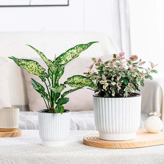 Self-Watering Flowerpot – Elegant Classic-Style Planter for Effortless Plant Care