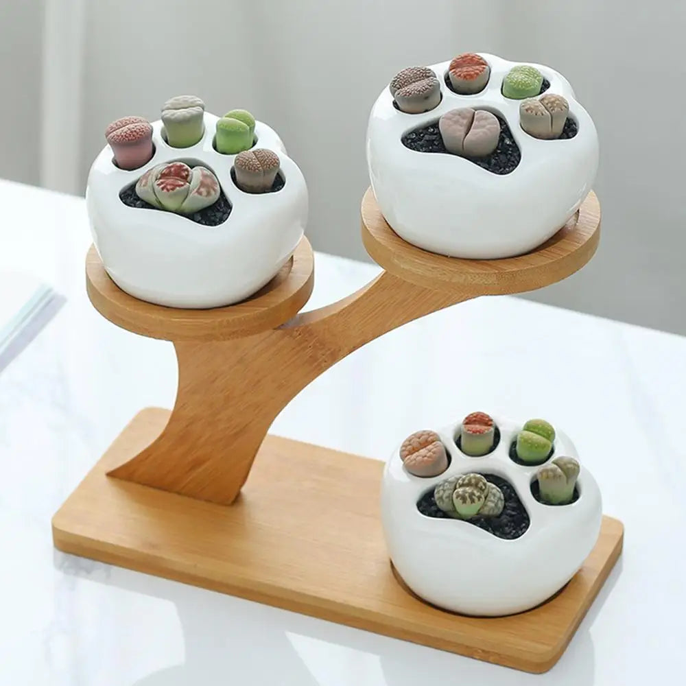 3-Tier Succulent Plant Stand – Space-Saving Ceramic Pots for Home & Office Decor