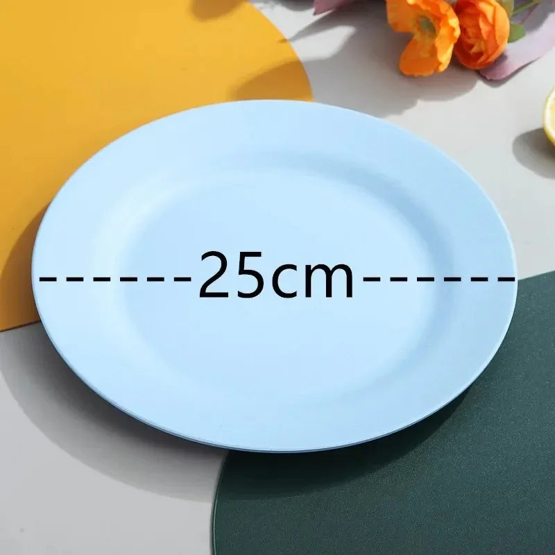 25cm Wheat Straw Pizza Tray | Unbreakable & Reusable Plastic Dinner Plate | Eco-Friendly Tableware for Pasta, Steak & More