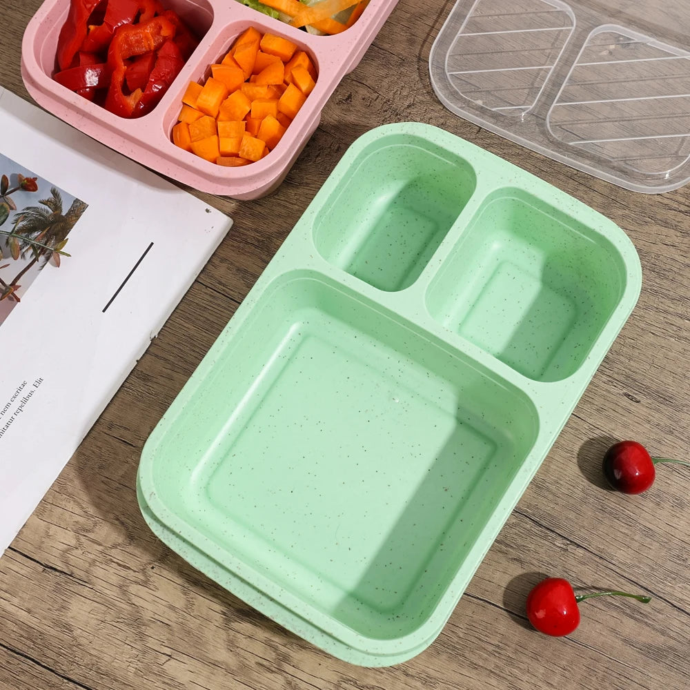 Eco-Friendly Portable Bento Lunch Box | Food Storage Container with Lid | School, Office, & Picnic Lunch Containers