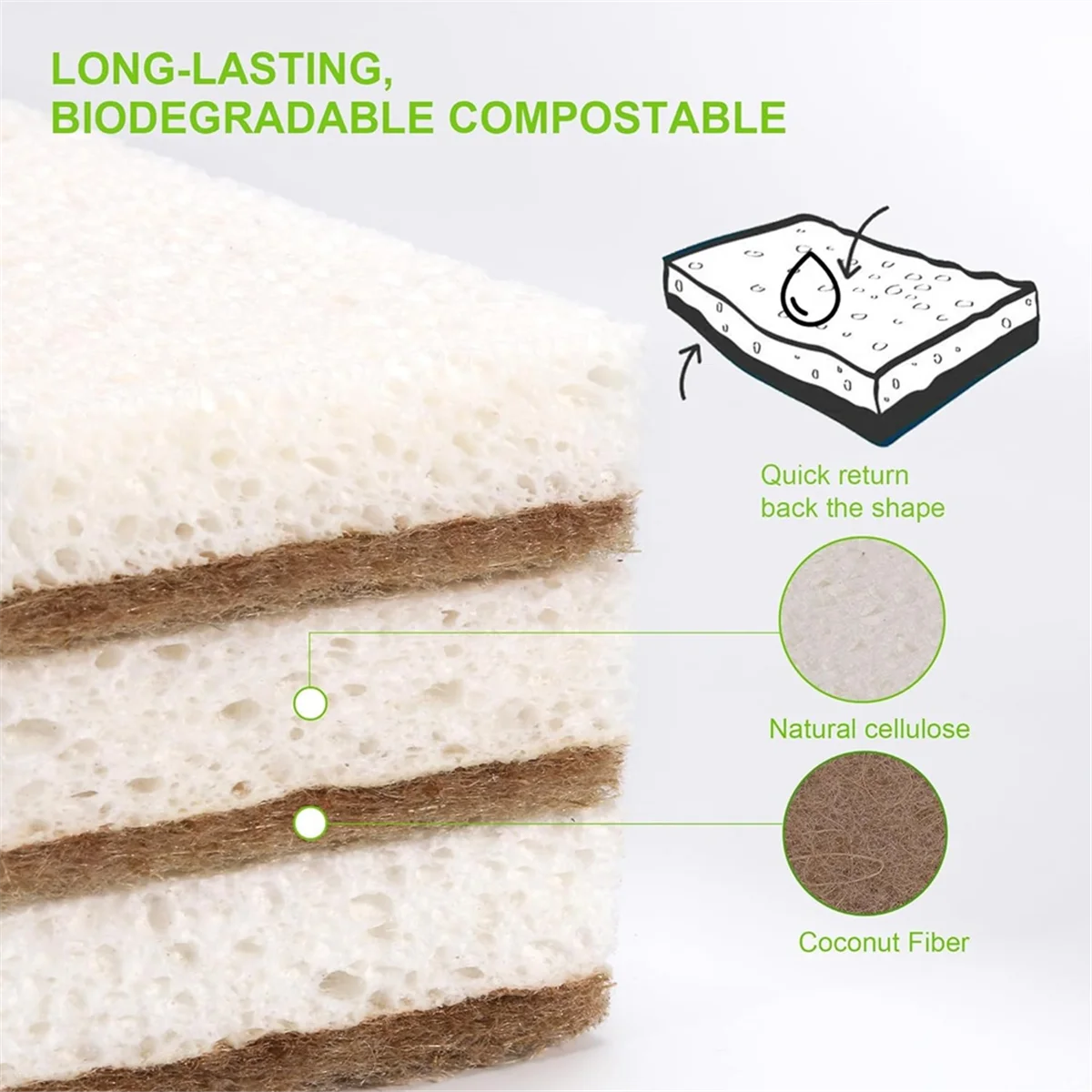 12-Pack Biodegradable Natural Kitchen Sponges – Eco-Friendly Cellulose & Coconut Fiber Scrubbers