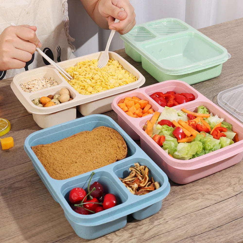 Eco-Friendly Portable Bento Lunch Box | Food Storage Container with Lid | School, Office, & Picnic Lunch Containers